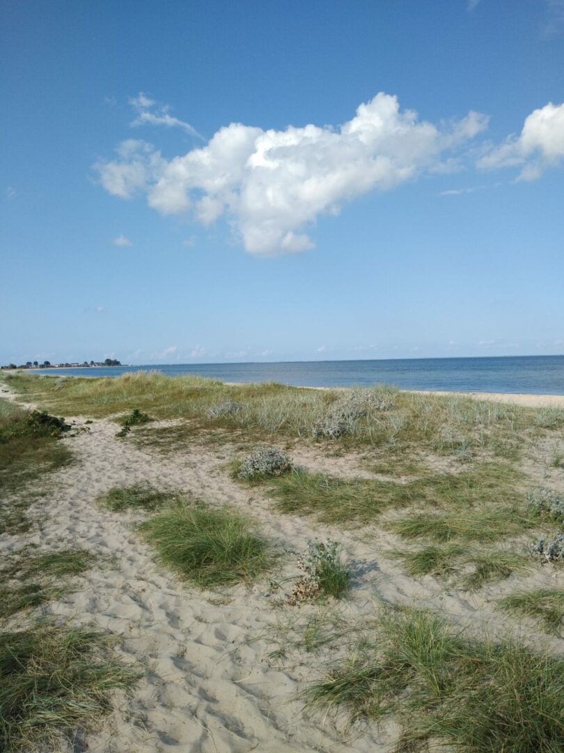 Piaszczysta ścieżka nadmorska otoczona trawą morską prowadząca do spokojnego oceanu pod częściowo zachmurzonym niebem.