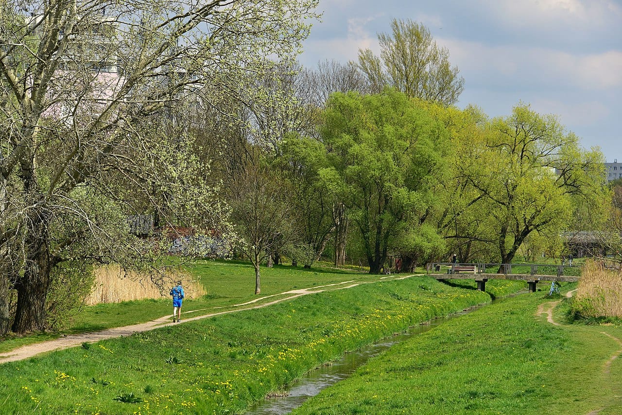 Osoba biegająca po wybrukowanej ścieżce wzdłuż kanału, wiosennych drzew i zielonej trawy.