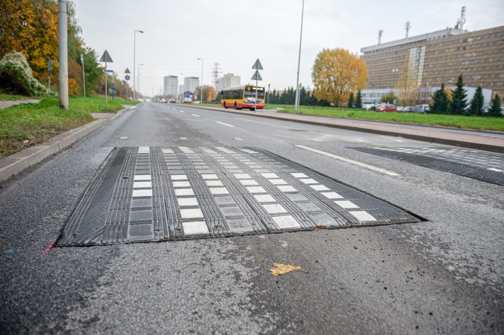 Próg zwalniający na drodze asfaltowej z białymi oznaczeniami