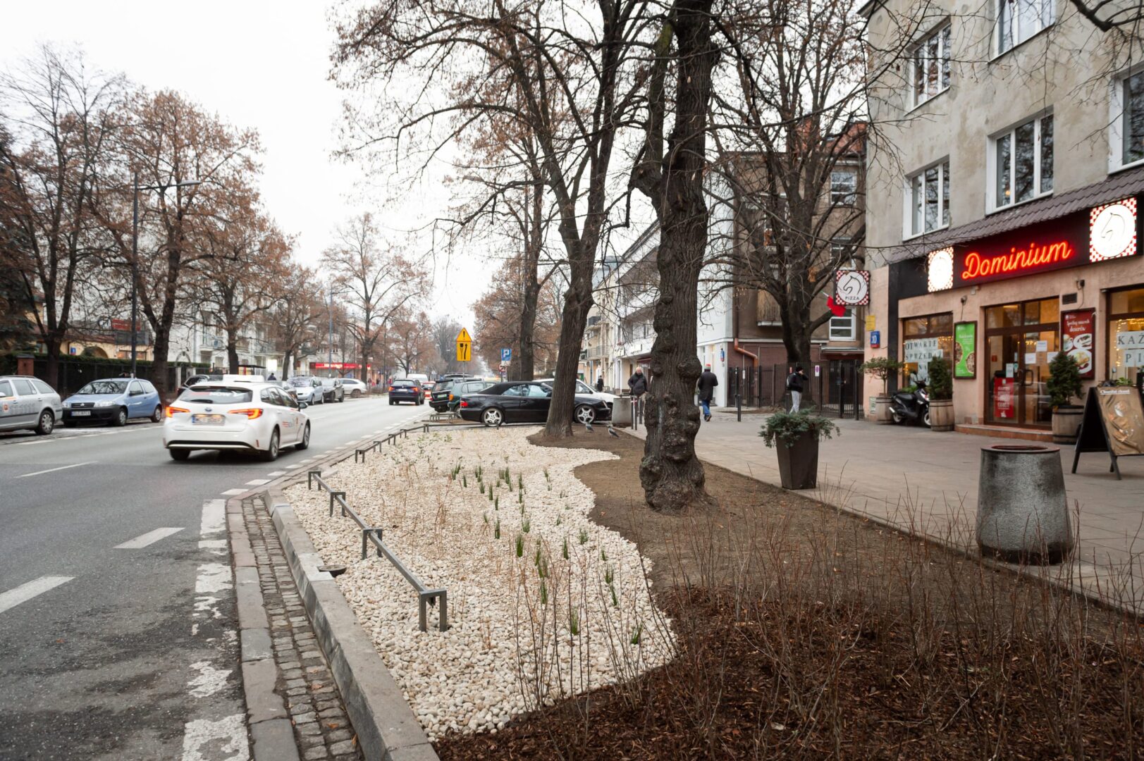 Widok na warszawską ulicę z nowo posadzonymi drzewami i pizzerią "Dominum".