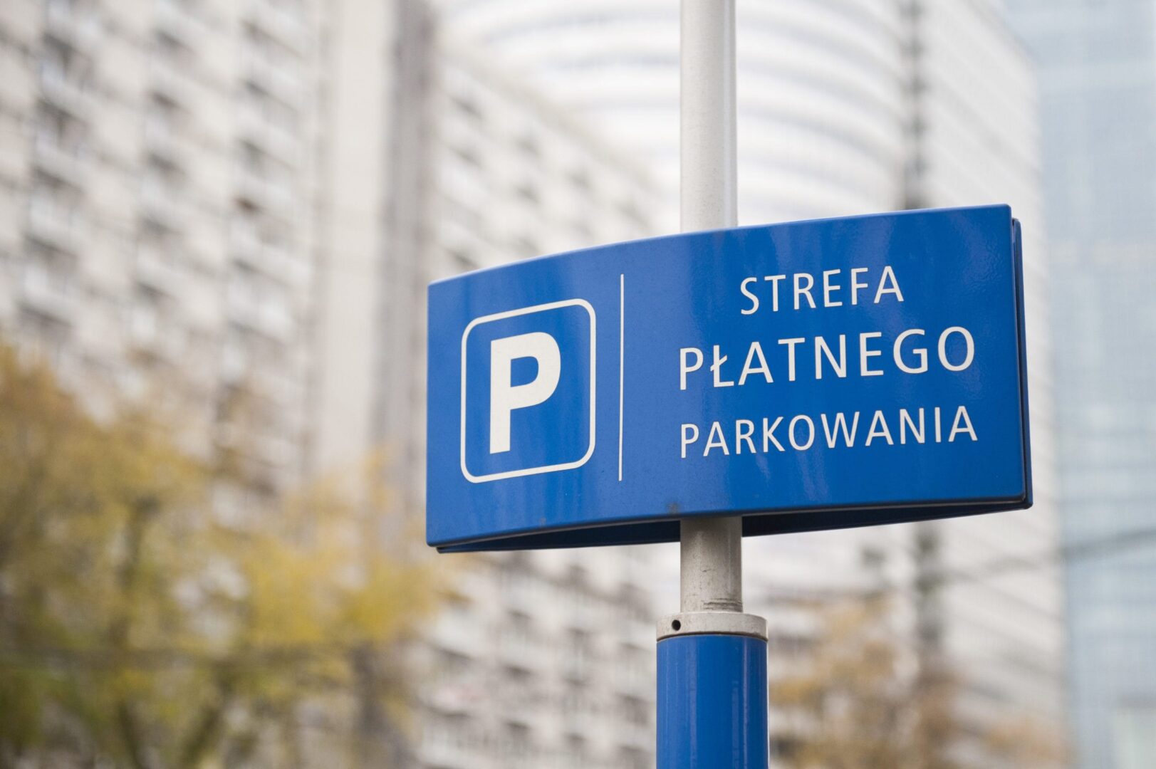 Blue Polish parking zone sign: Strefa Platnego Parkowania