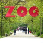 ZOO