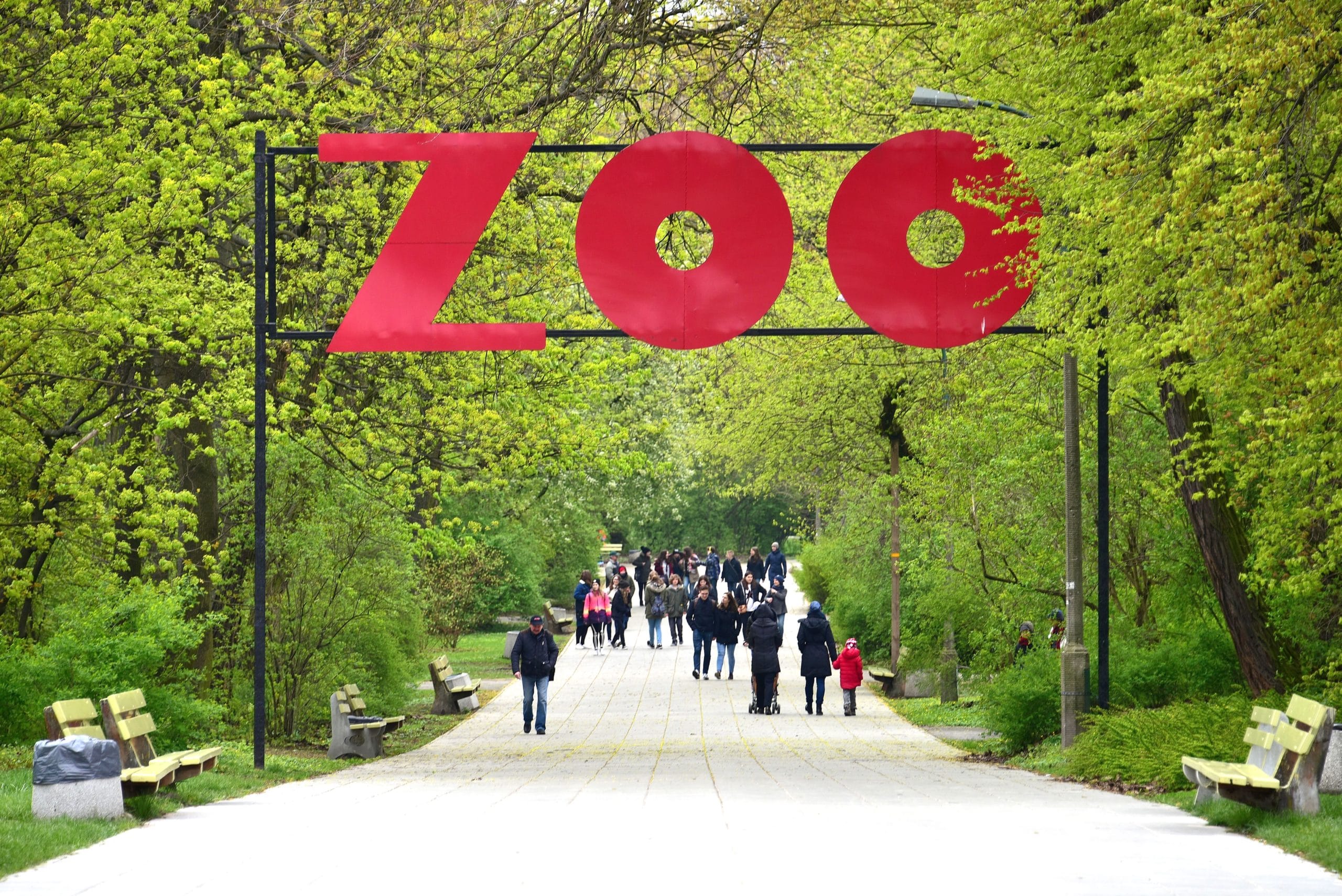 ZOO