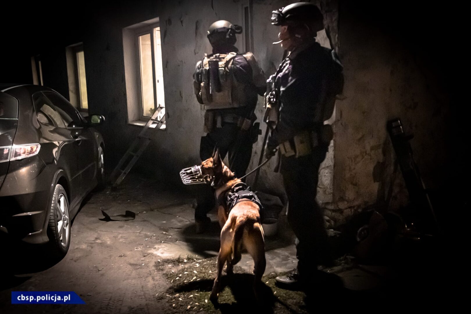 Oddział policyjny K9 w nocy, operacja taktyczna