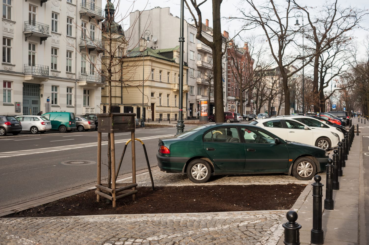 Samochody zaparkowane na miejskiej ulicy, nowe sadzonki drzew posadzone w przydrożnym krajobrazie.