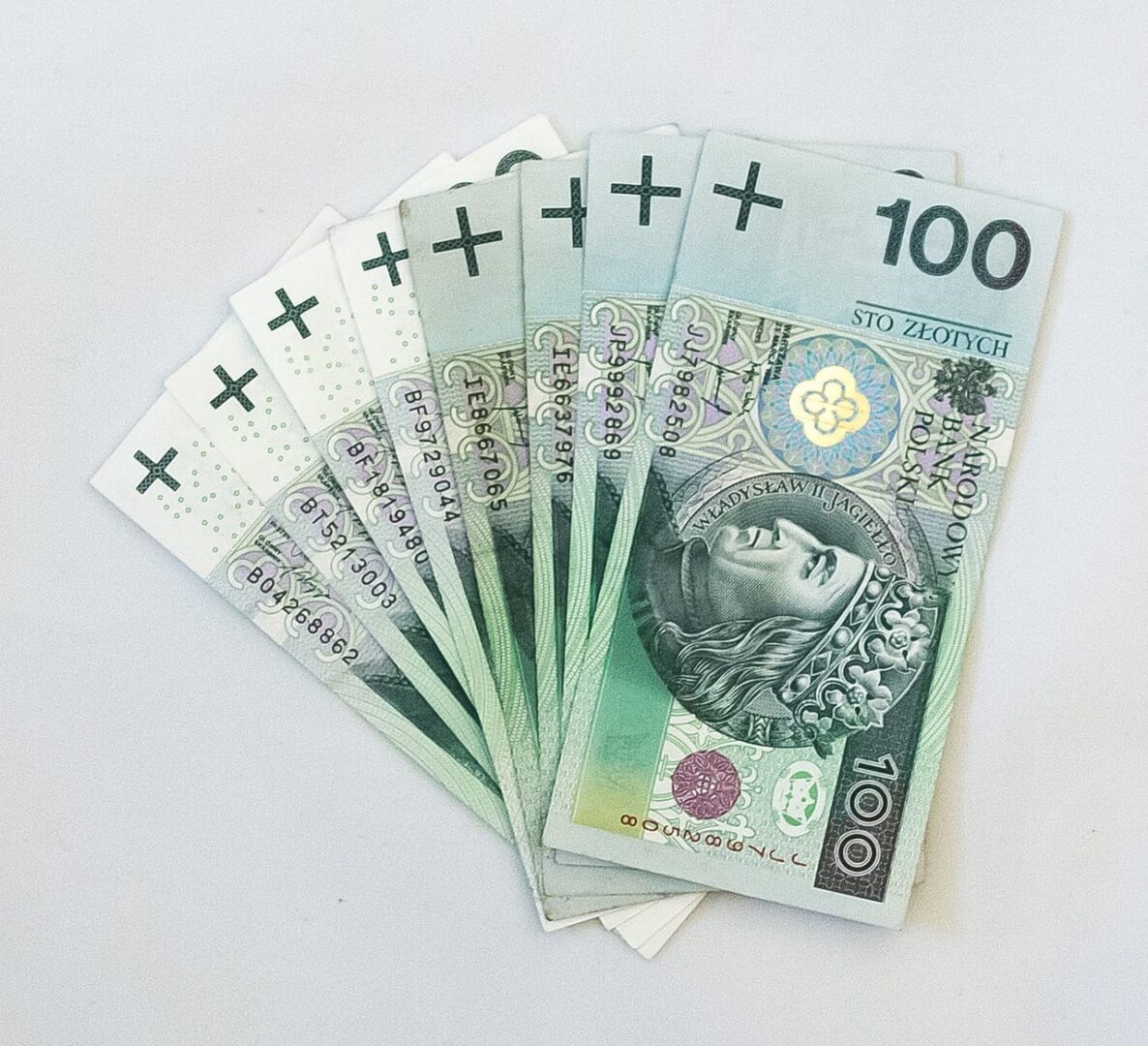 Miłośnik polskich banknotów 100-złotowych z wizerunkiem Władysława Jagiełły