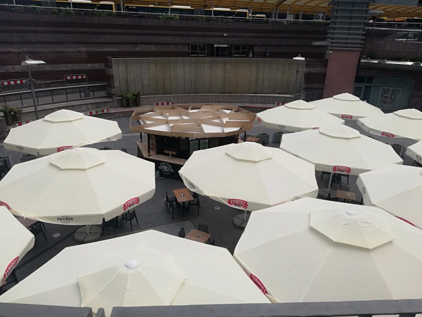 Patio kawiarni na świeżym powietrzu z licznymi białymi parasolami, na niektórych z nich widnieją loga Hard Rock Cafe i Żywiec.