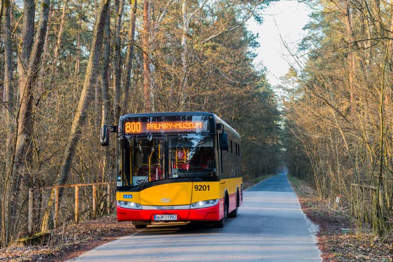 Autobus linii 9201 jadący trasą 800 do Muzeum w Palmirach porusza się drogą obsadzoną drzewami.