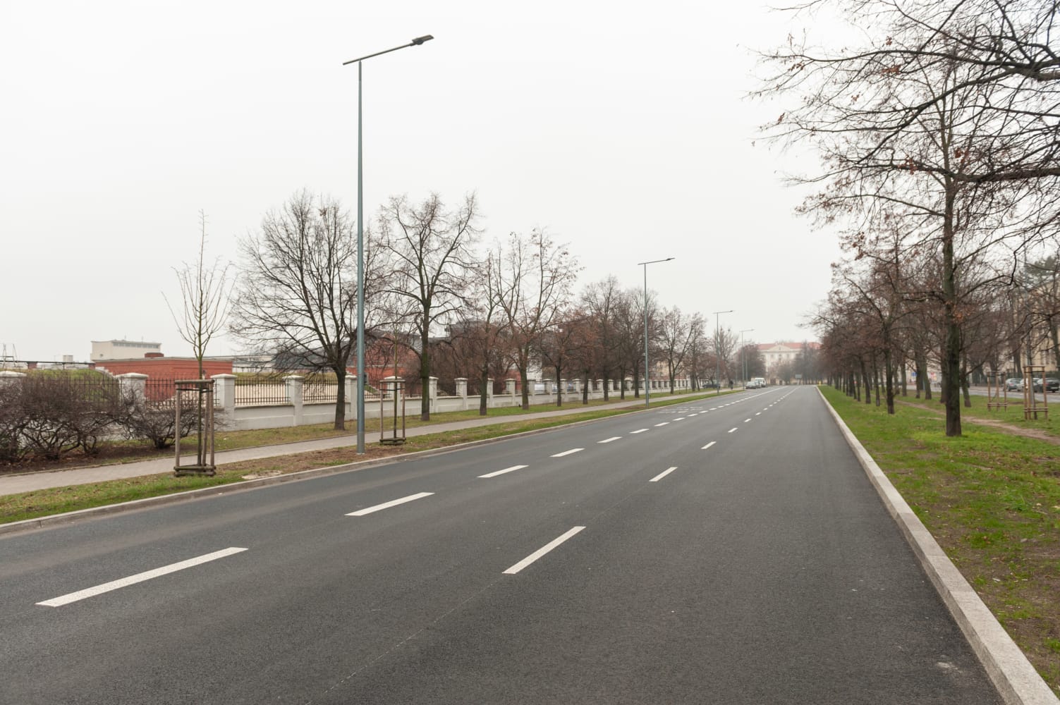 Pusta ulica miejska otoczona nagimi drzewami w pochmurny dzień.