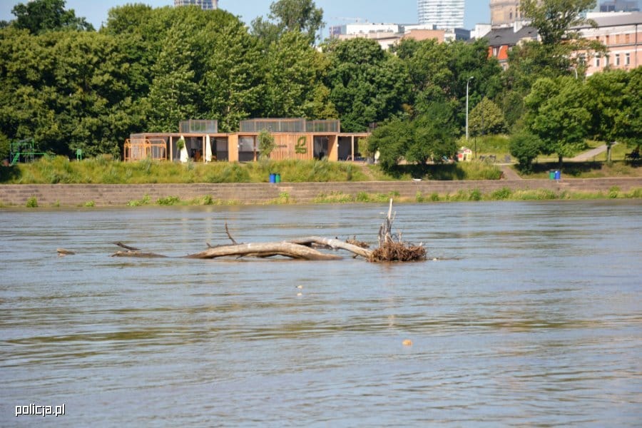 Powalone gałęzie drzew w rzece niedaleko parku z drewnianymi budynkami.