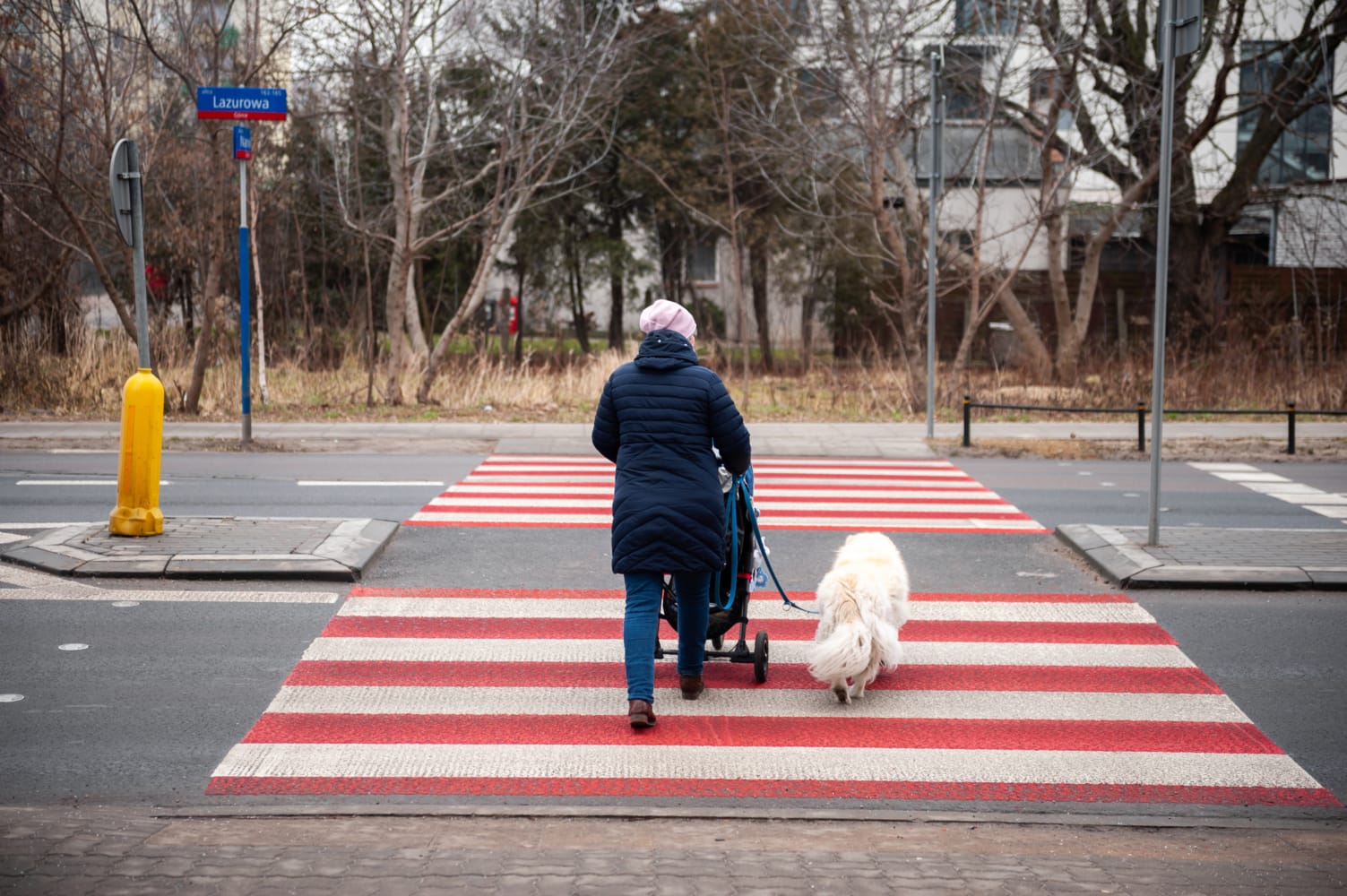 Kobieta przechodząca przez ulicę z wózkiem i psem na smyczy