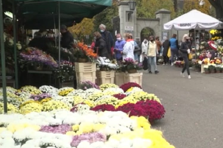 Targ kwiatowy z okazji Dnia Wszystkich Świętych, chryzantemy i klienci.