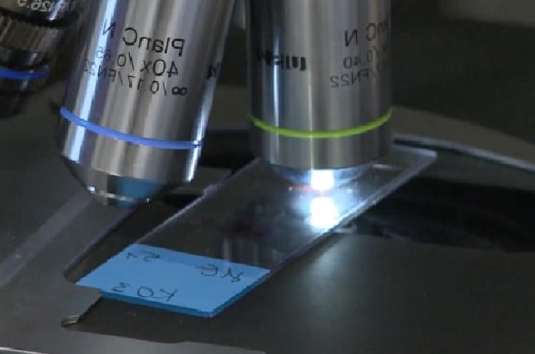 Obiektywy mikroskopu skierowane na szkiełko podstawowe oznaczone „K02”.