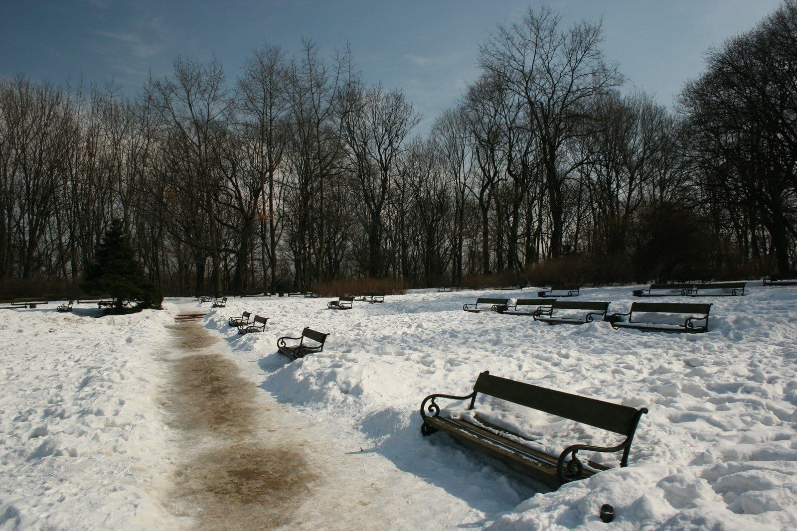 Puste ławki w parku pokryte śniegiem w zimowy dzień.