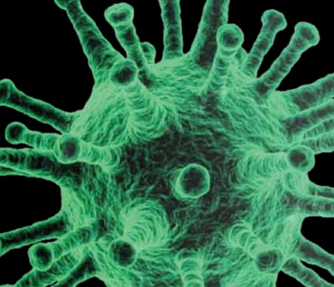 Mikroskopowy obraz koronawirusa.