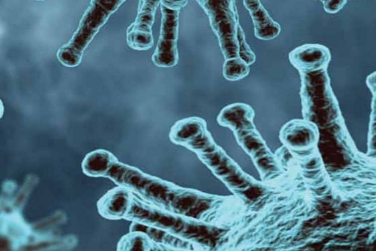 Mikroskopowy widok koronawirusów.