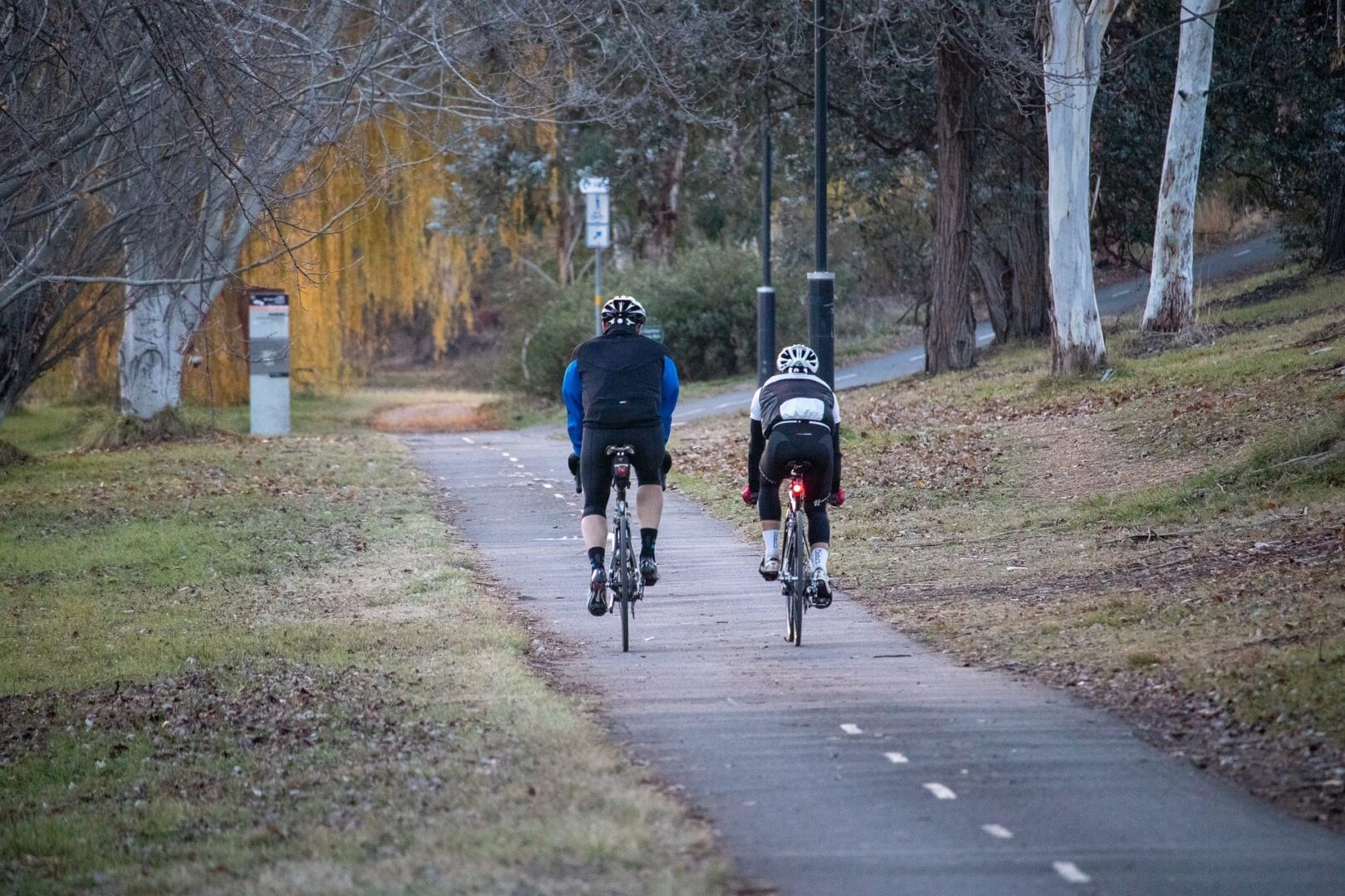 Dwóch rowerzystów jedzie po wyasfaltowanej ścieżce rowerowej przez park.