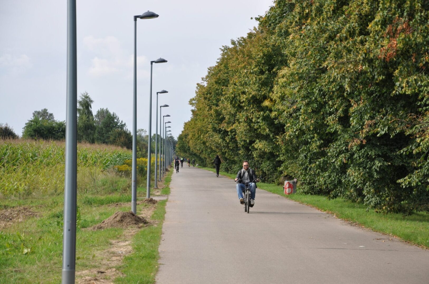 Mężczyzna jadący na rowerze po wybrukowanej ścieżce otoczonej drzewami i latarniami ulicznymi