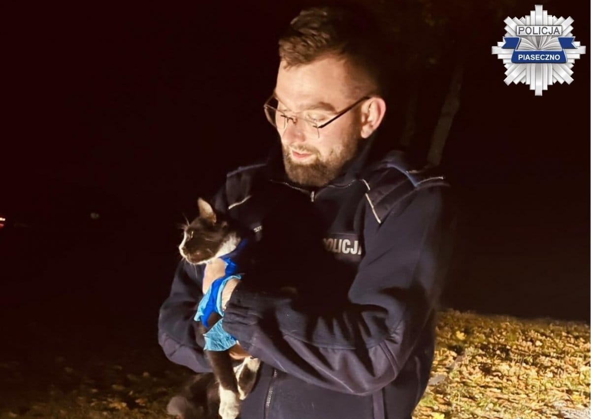 Policjant delikatnie trzymający uratowanego czarno-białego kota.
