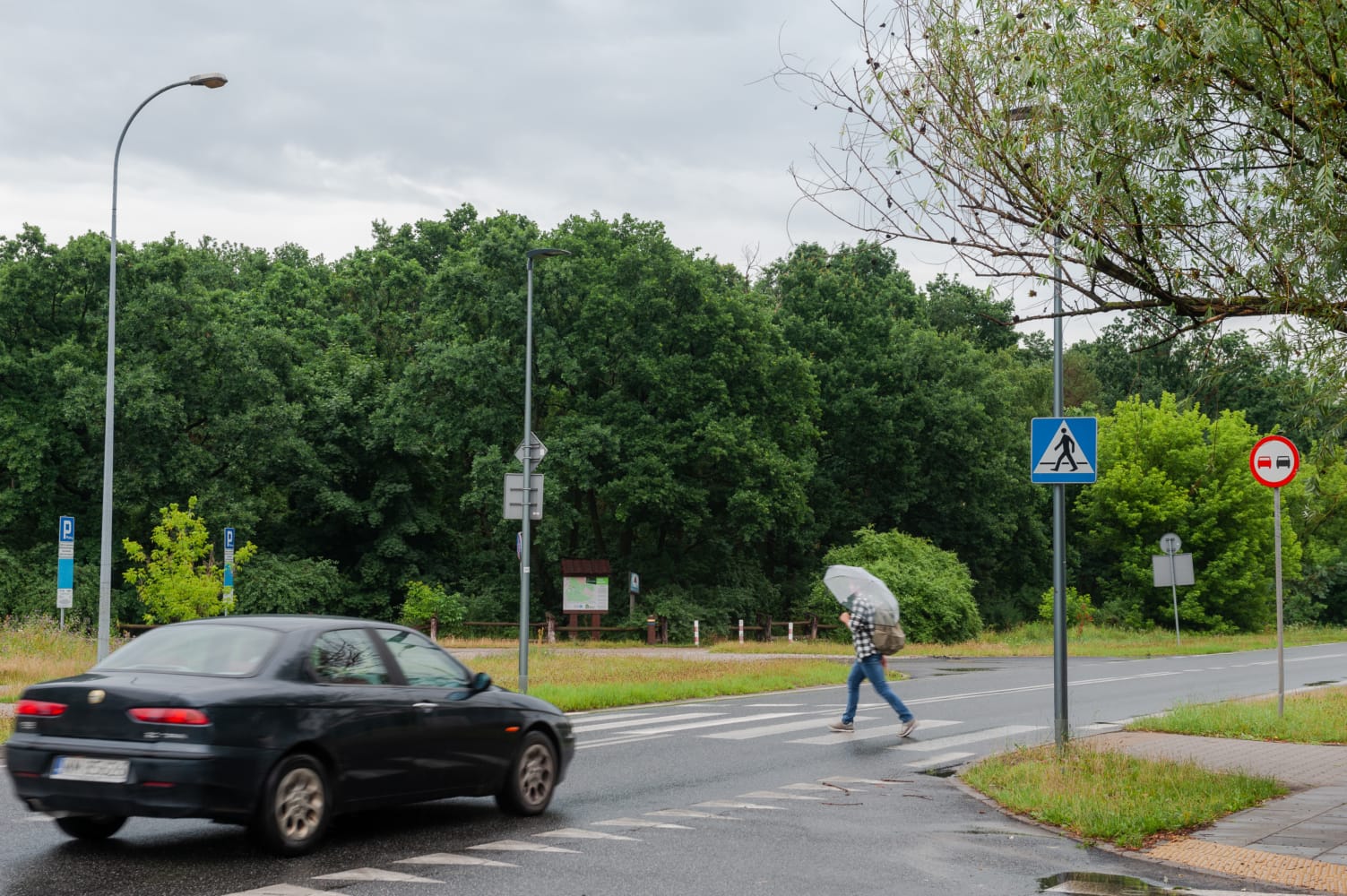 Osoba z parasolem przechodząca przez przejście dla pieszych w pobliżu lasu w deszczowy dzień.