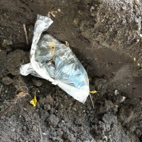 Wyrzucona plastikowa torba zawierająca niebieskie przedmioty w glebie