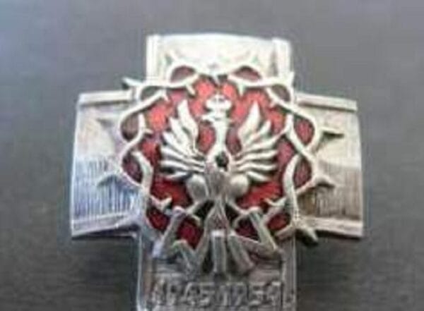 Srebrny krzyż z czerwonym feniksem i cierniowym pnączem; poniżej napis „Acies Dei”.