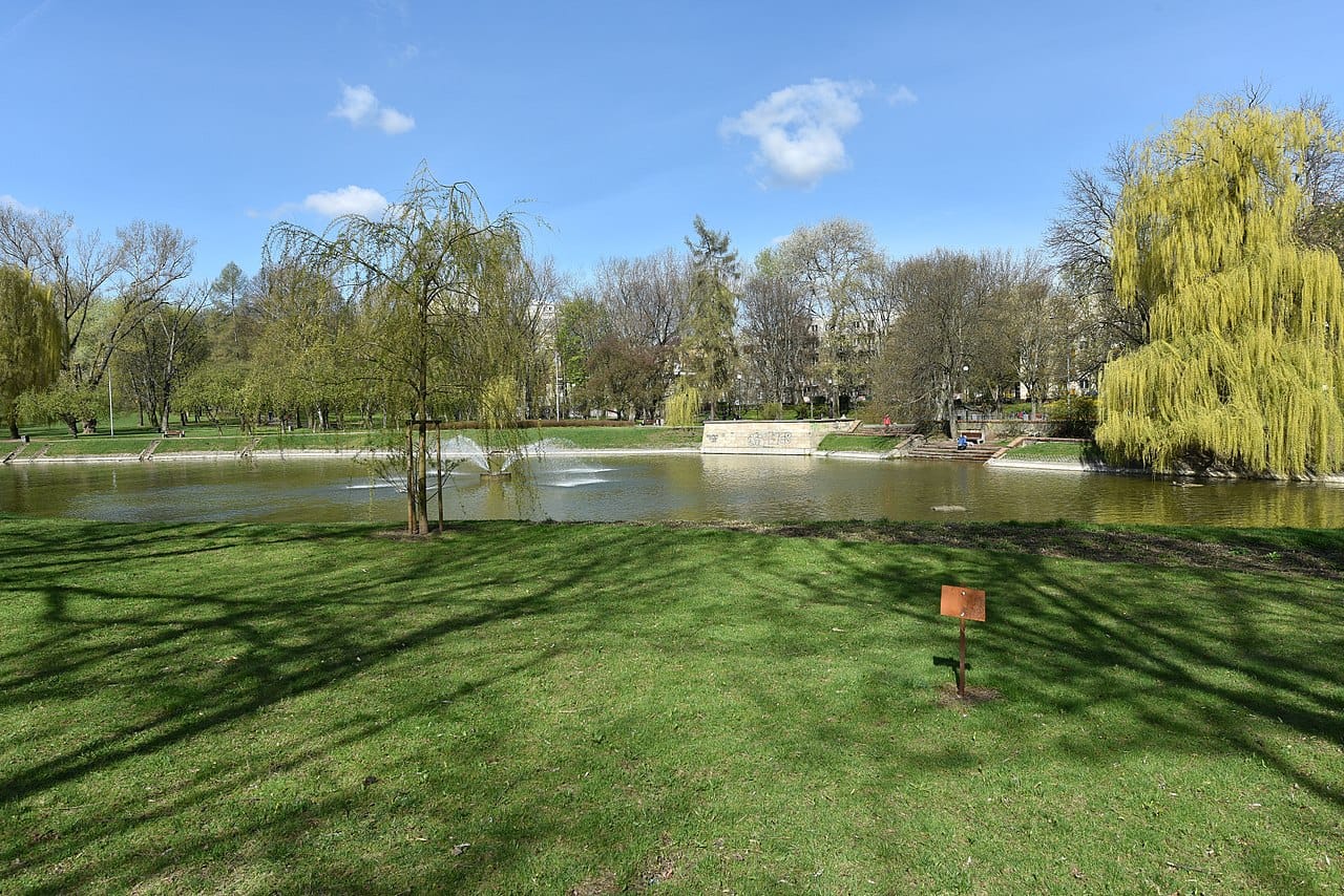 Spokojny staw parkowy z fontannami, bujną, zieloną trawą i wierzbami w słoneczny dzień.