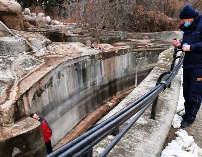 Opiekunowie zoo sprawdzają wybiegi; utrzymanie siedlisk zwierząt