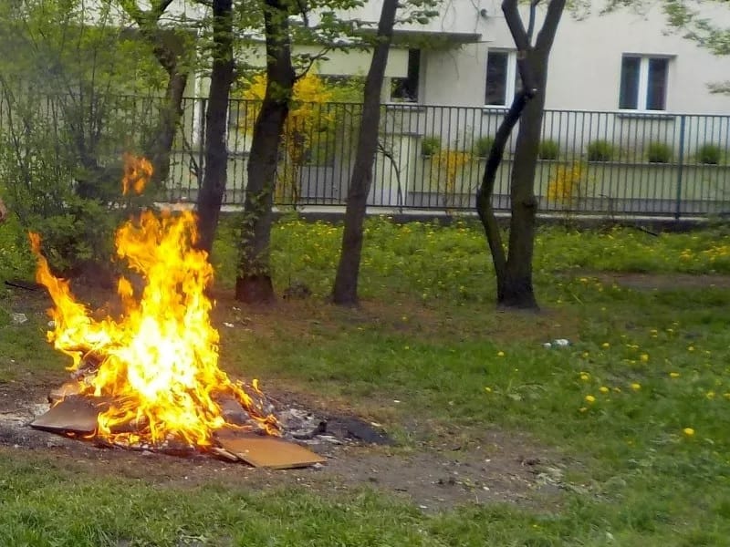 Jasne ognisko, w którym płonie tektura w trawiastym parku
