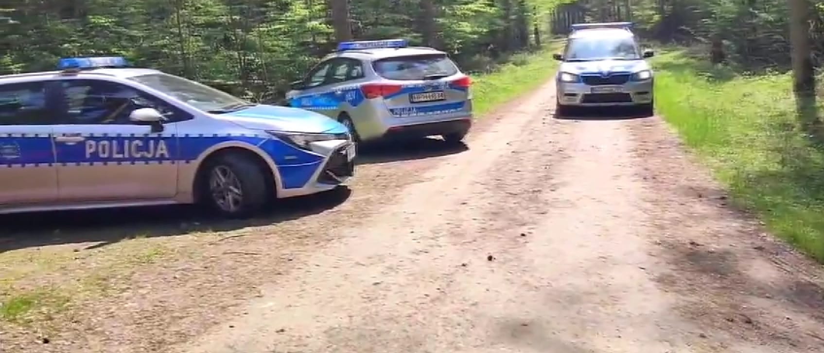 Trzy polskie radiowozy na drodze gruntowej w lesie. Na jednym z nich widać napis „POLICJA”.