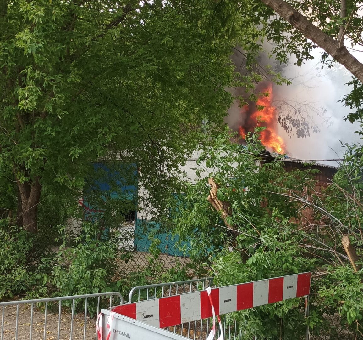 Rozpalanie ognia wśród dymu i płomieni, częściowo zasłoniętych drzewami i barierą bezpieczeństwa.