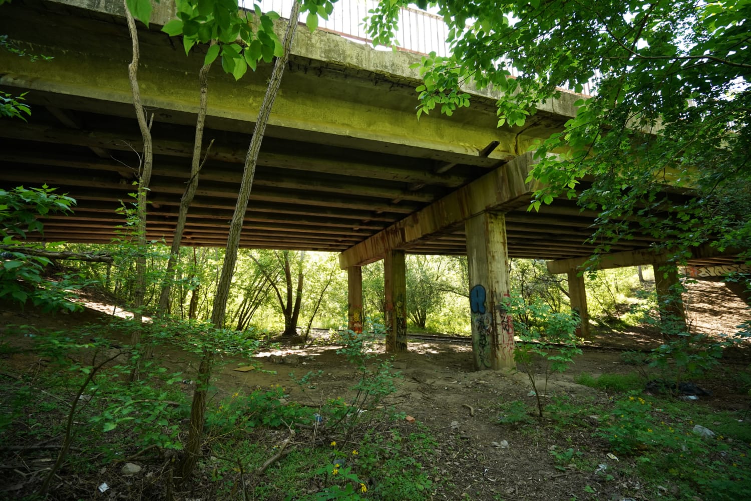 Zarośnięte przejście podziemne z graffiti na filarach podporowych