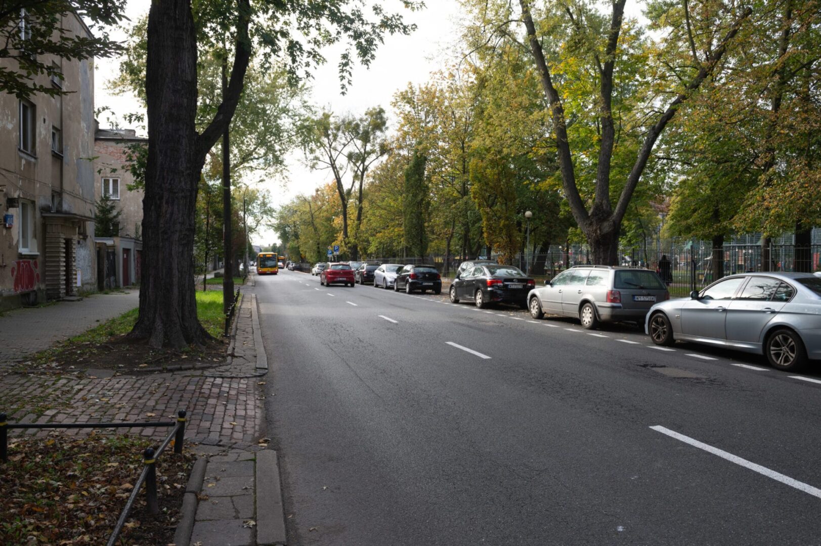 Samochody zaparkowane wzdłuż ulicy obsadzonej drzewami w mieście.