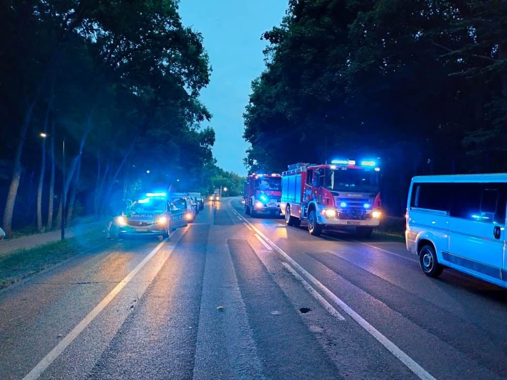 Pojazdy uprzywilejowane, w tym radiowozy policyjne i wozy strażackie, nocą na drodze obsadzonej drzewami.