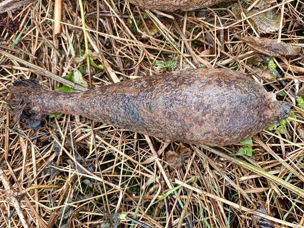 Zardzewiałe, niewybuchy znalezione w zaroślach.