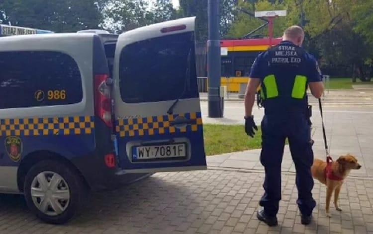 Policjant z oddziałem K9 w radiowozie, numer rejestracyjny WY 7081F