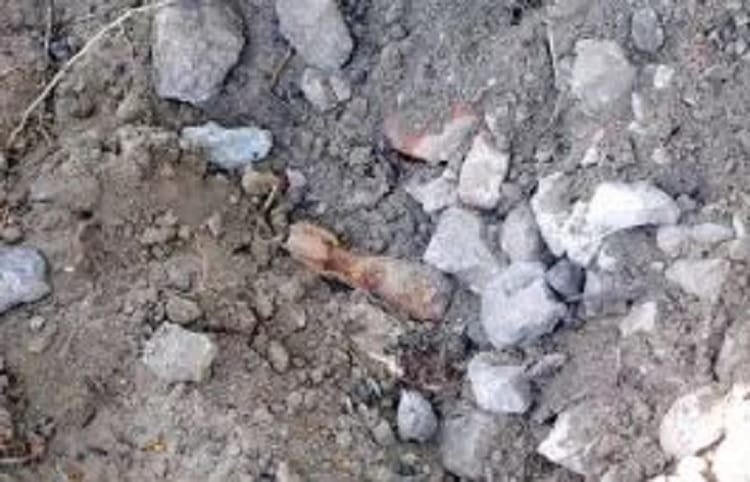 Zbliżenie na odkopany w glebie i gruzach fragment kości.