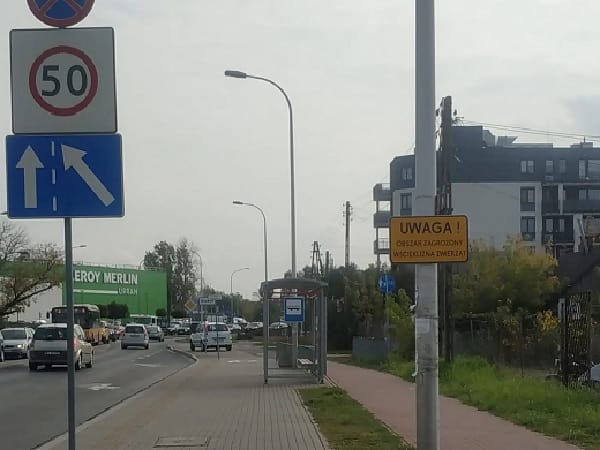 Polska scena uliczna z ruchem ulicznym, znakiem ograniczenia prędkości (50 km/h) i przystankiem autobusowym. Widoczny znak ostrzegawczy "Uwaga!".