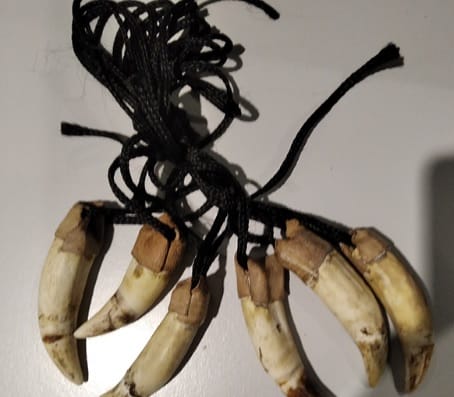 Sześć zwierzęcych pazurów na czarnych sznurkach; ręcznie wykonane zawieszki do naszyjników.