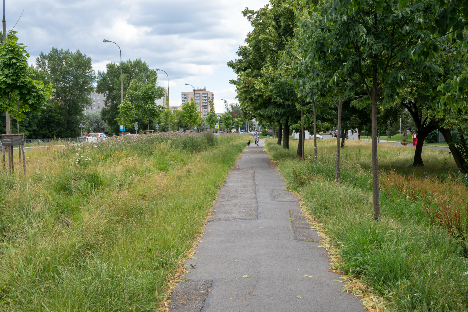 Osoba wyprowadzająca psa na utwardzoną ścieżkę otoczoną wysoką trawą i drzewami. Tło miejskiego krajobrazu.