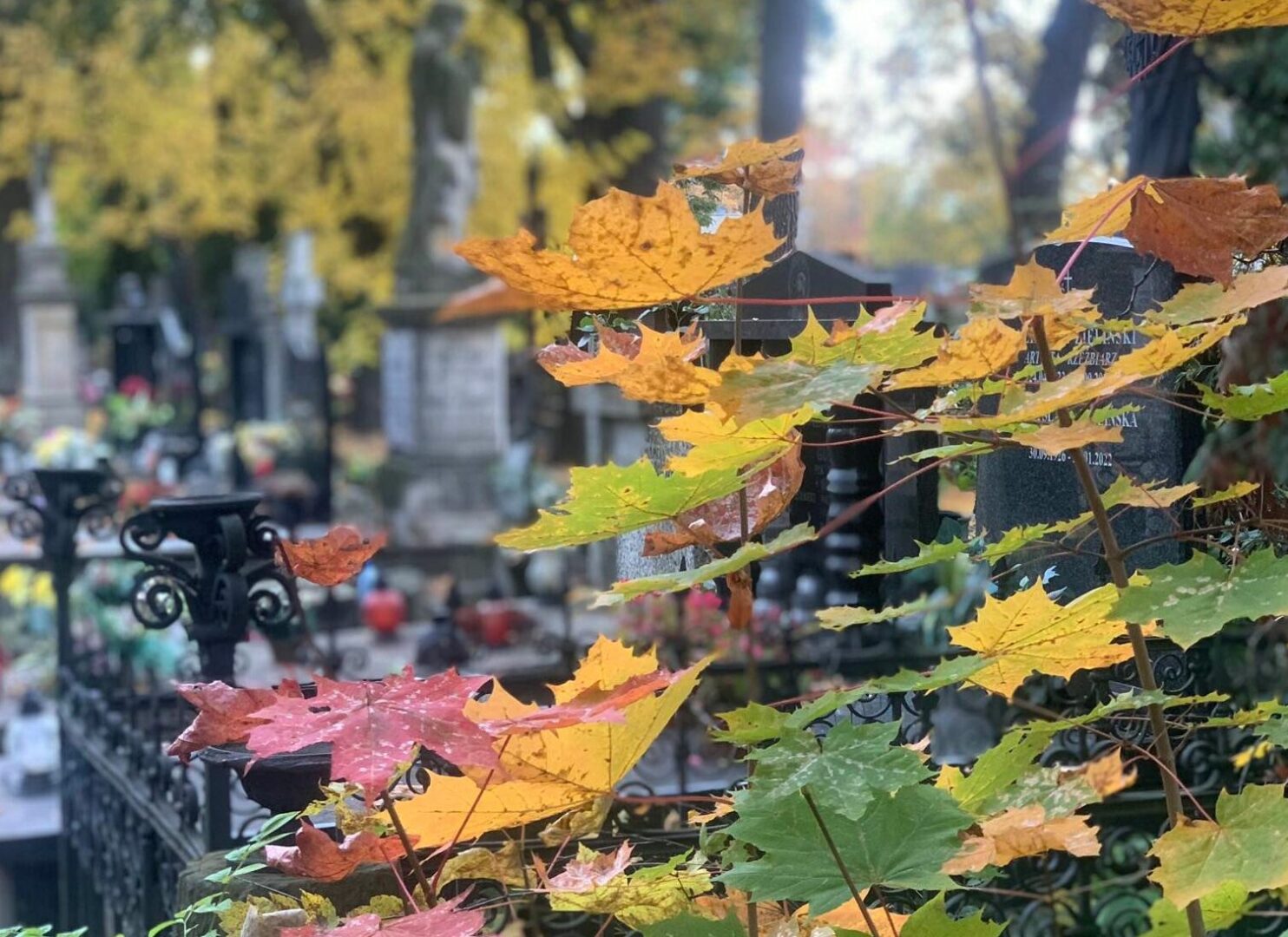 Jesienne liście na nagrobkach na cmentarzu