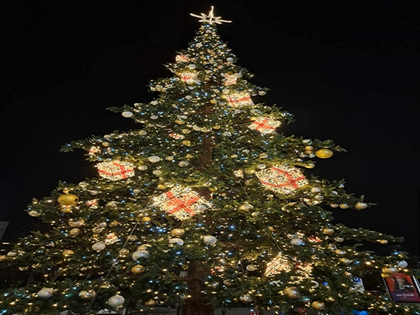 Duża, oświetlona choinka bożonarodzeniowa, ozdobiona nocą lampkami i prezentami.