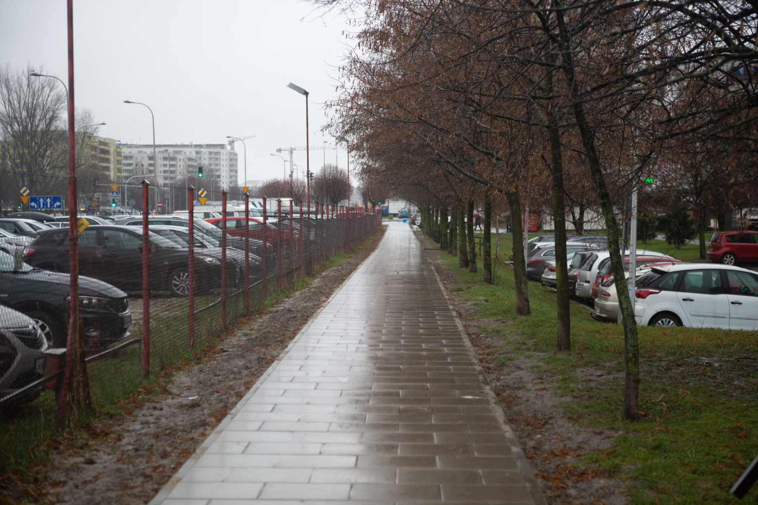 Widok na chodnik w deszczowy dzień, zaparkowane samochody i nagie drzewa.