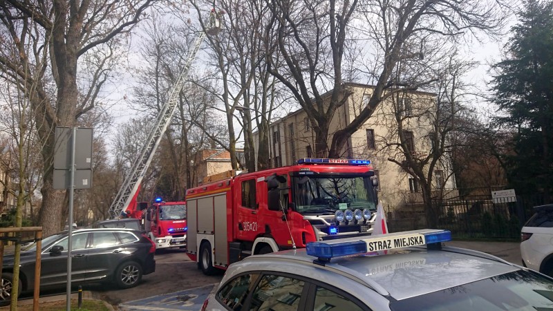 Strażacy używają wozu drabinowego, aby uratować osobę spadającą z drzewa.