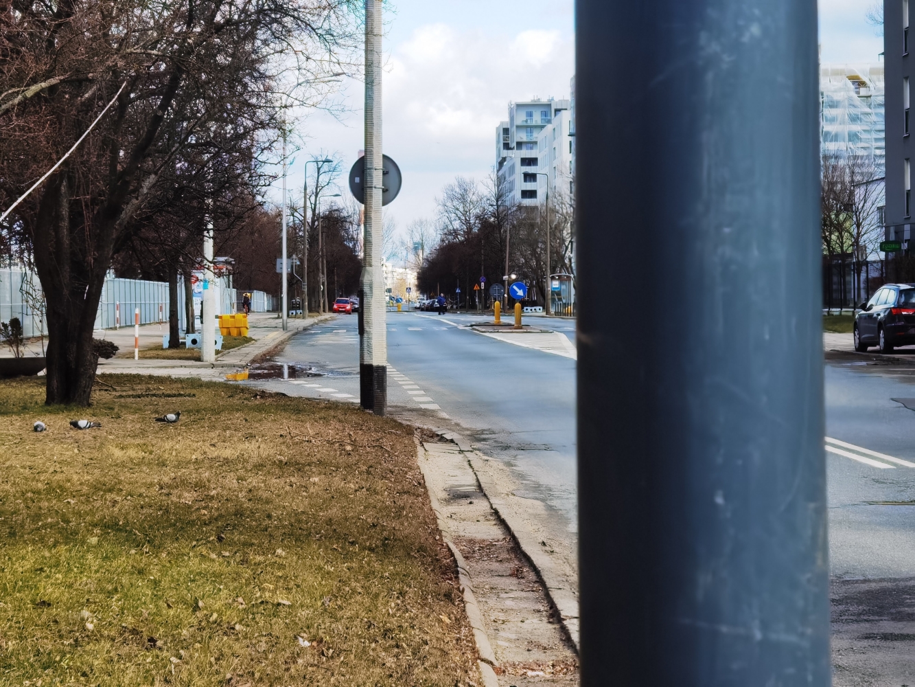 Pusta ulica miasta z budynkami i drzewami w częściowo pochmurny dzień.