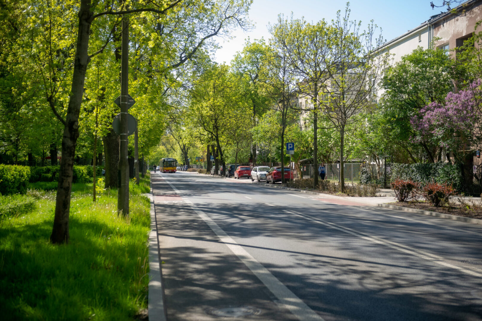 Oświetlona słońcem ulica miejska z zaparkowanymi samochodami, ścieżką rowerową i autobusem.