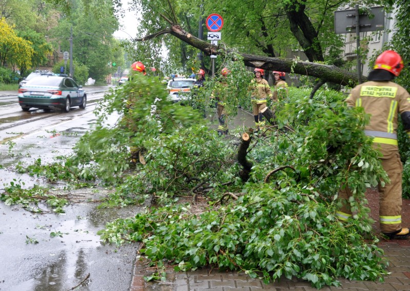 Strażacy usuwają powalone gałęzie drzew blokujące ulicę miejską po burzy.