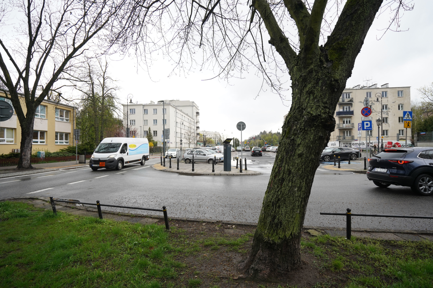 Scena uliczna miasta z samochodami na rondzie w pobliżu parkomatu, pod dużym drzewem.