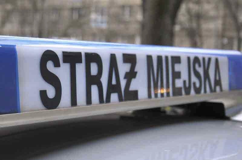 Pasek świetlny pojazdu Straży Miejskiej z napisem „Straż Miejska”.