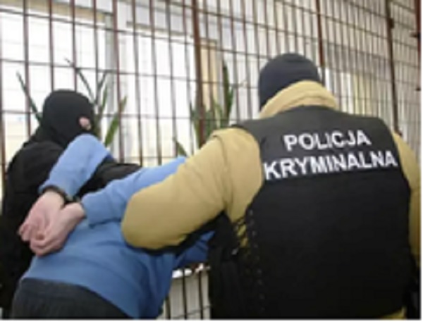 Policjanci zatrzymujący podejrzanego, widoczne kajdanki. Kamizelka POLICJA KRYMINALNA.